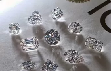 Cầm kim cương phường Tân Hưng