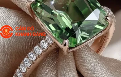 Cầm kim cương - phường Gia Định