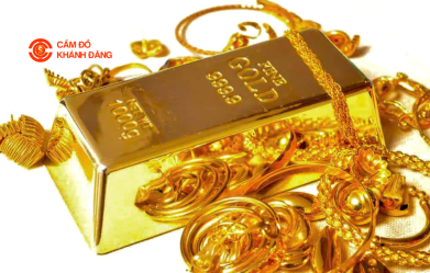 Cầm vàng xã Bình Lợi