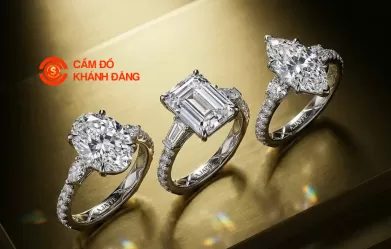 Cầm kim cương xã Bình Hưng