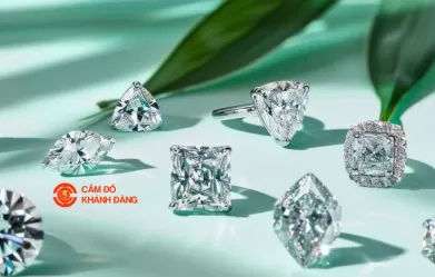 Cầm kim cương xã Cần Giờ