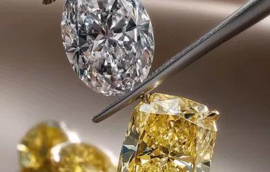 Cầm kim cương Phường Tây Thạnh