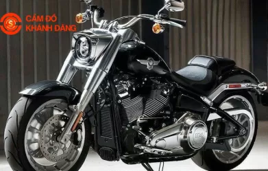 Cầm Motor Phường Tân Hòa