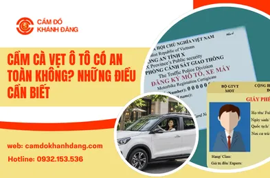 Cầm Cà Vẹt Ô Tô Có An Toàn Không? Những Điều Cần Biết