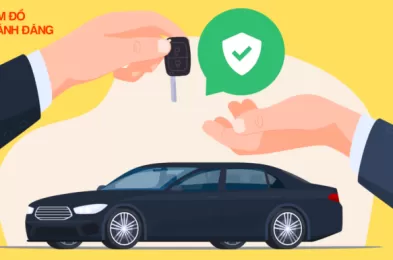 Cầm ô tô có thể bị mất xe không?