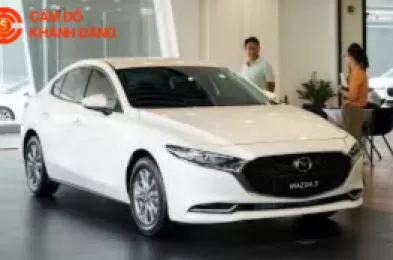 Cầm ô tô không giữ xe có cần định vị không?