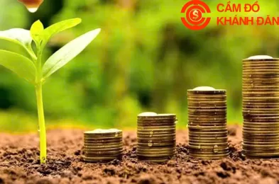 Cầm đồ ở TPHCM cần lưu ý gì?