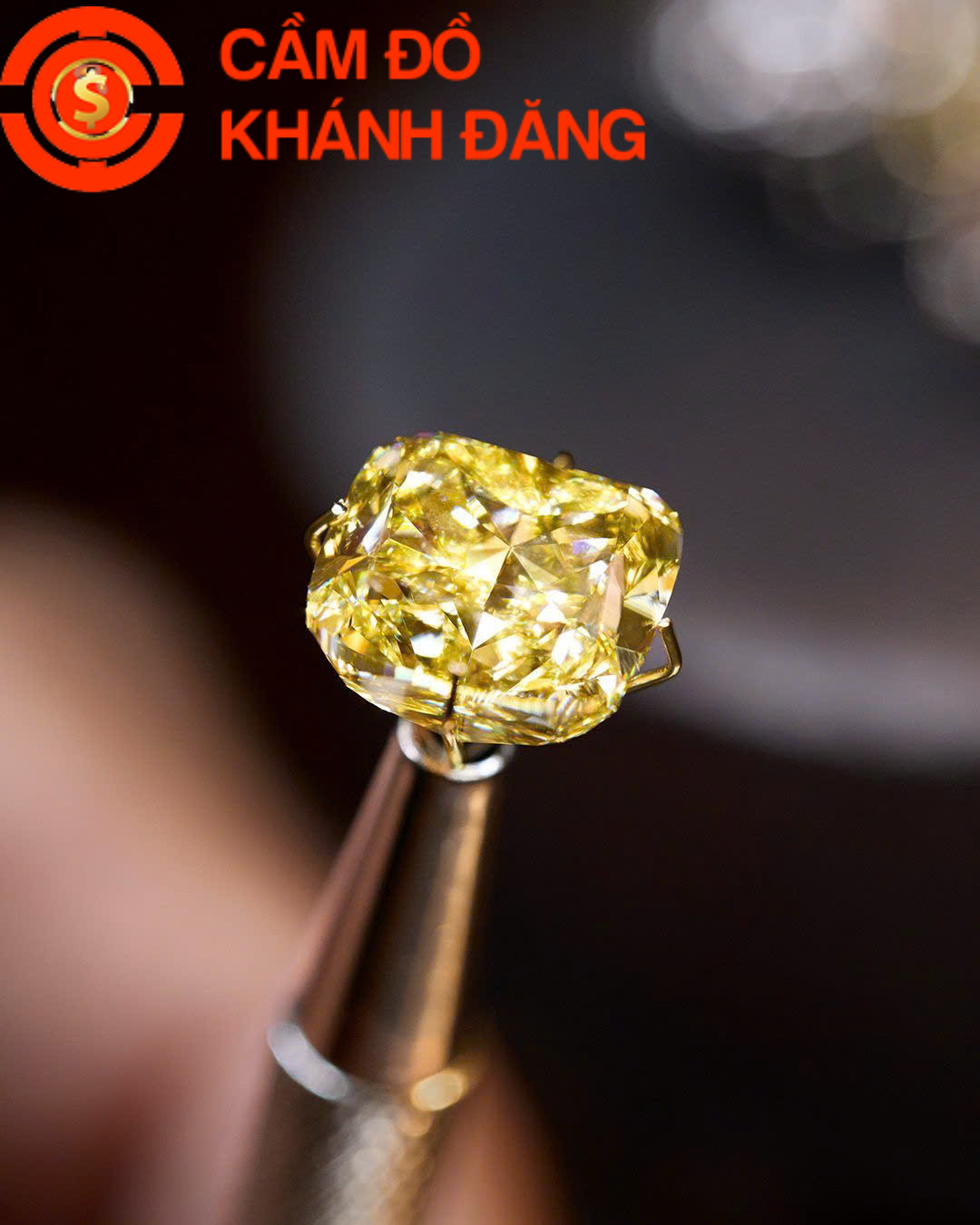 Cầm kim cương phường Xóm Chiếu