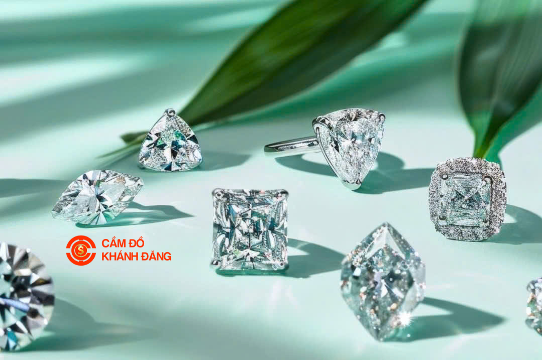 Cầm kim cương xã Cần Giờ