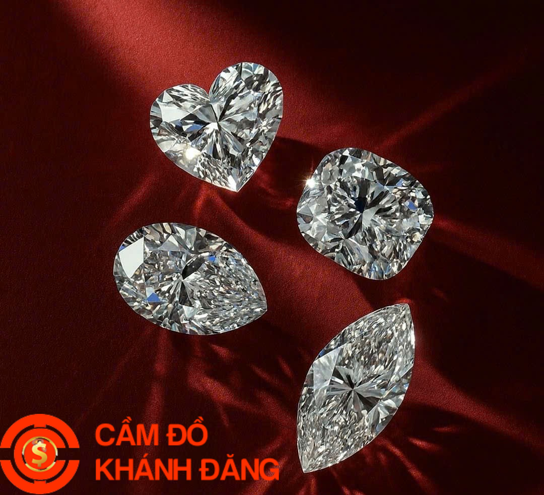 Cầm kim cương Phường Cát Lái