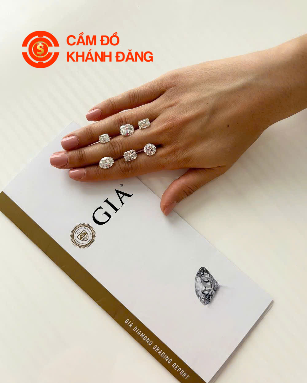 Cầm Kim Cương Phường Xuân Hòa