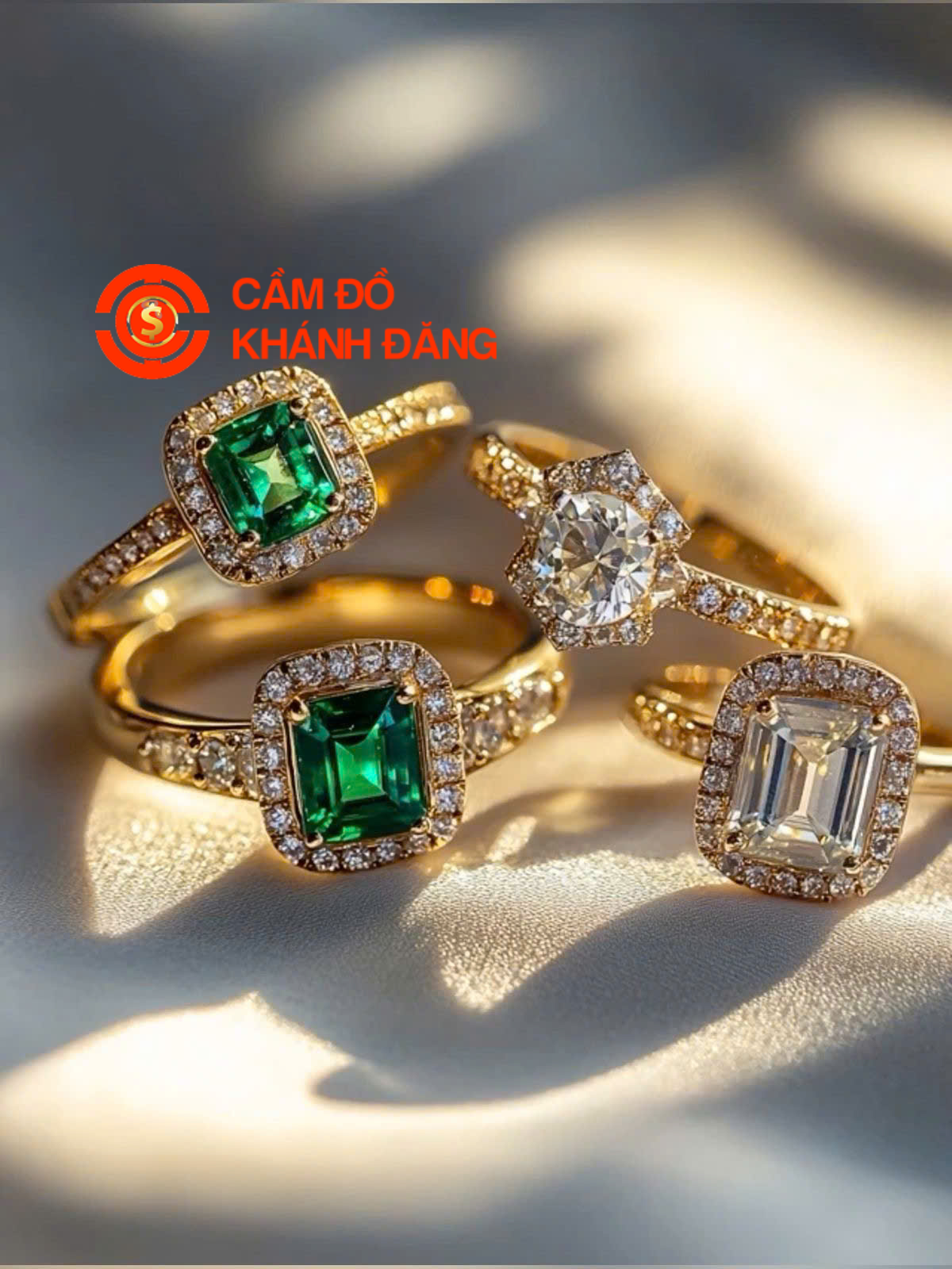 Cầm kim cương xã Bình Chánh