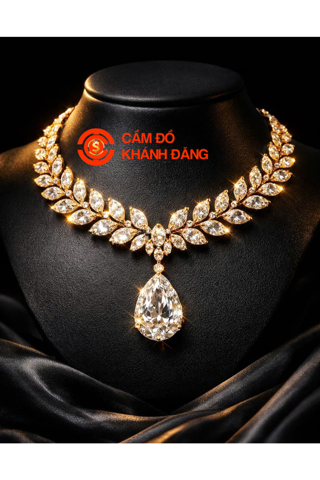 Cầm kim cương Phường Tân Sơn Nhất