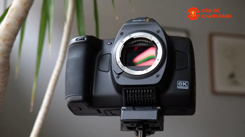 Cầm Máy Ảnh Xã Nhà Bè