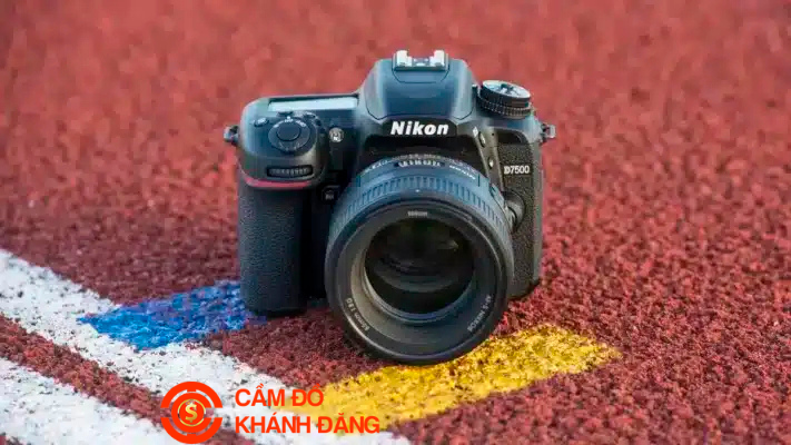 Cầm Máy Ảnh Phường Tân Hưng