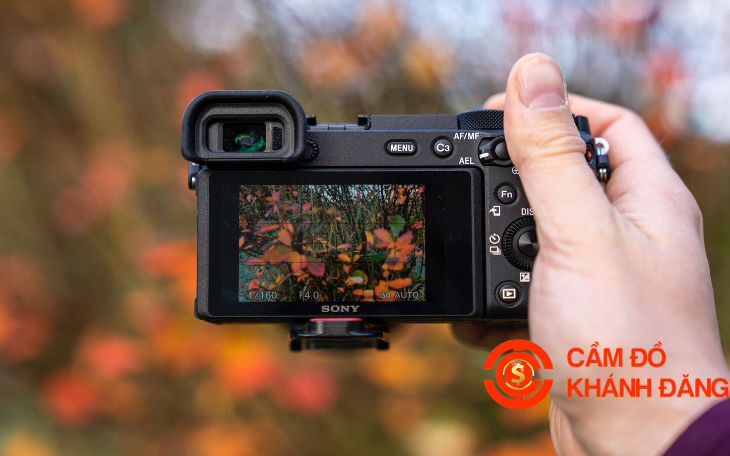 Cầm Máy Ảnh Phường Phú Lâm