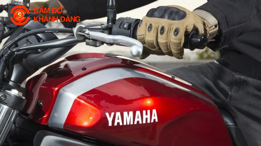 Cầm Motor Phường Tân Hưng